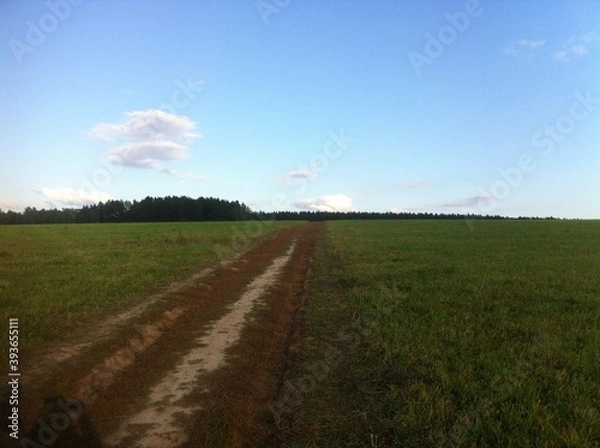 Obraz road in the field