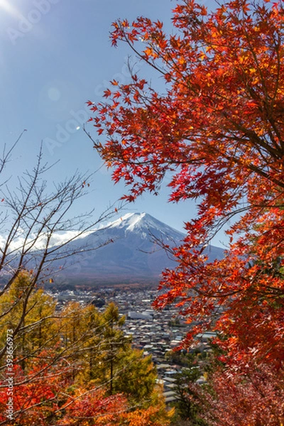Fototapeta View of mountain Fuji in autumn (Japon)