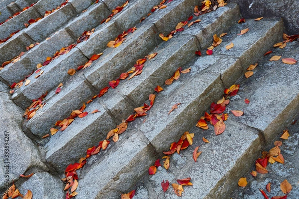 Obraz 石階段と紅葉の落ち葉
