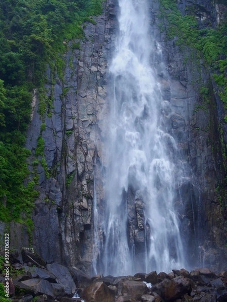 Fototapeta 和歌山　那智の滝