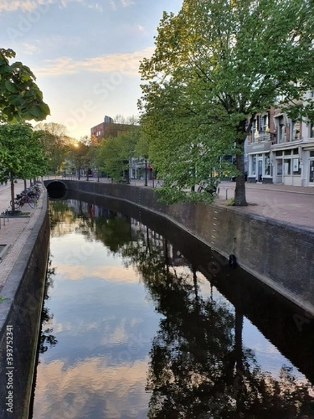 Obraz bridge in the park
