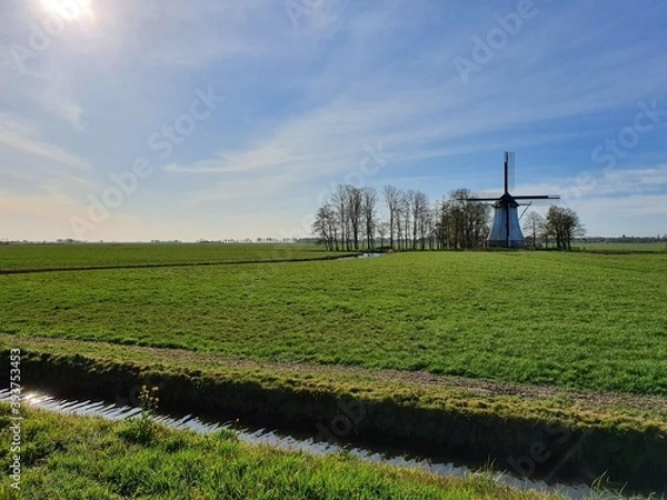 Fototapeta dutch landscape with windmill