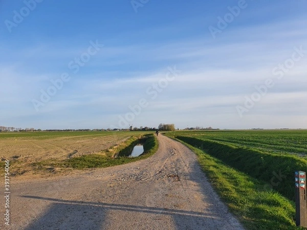 Obraz road in the field