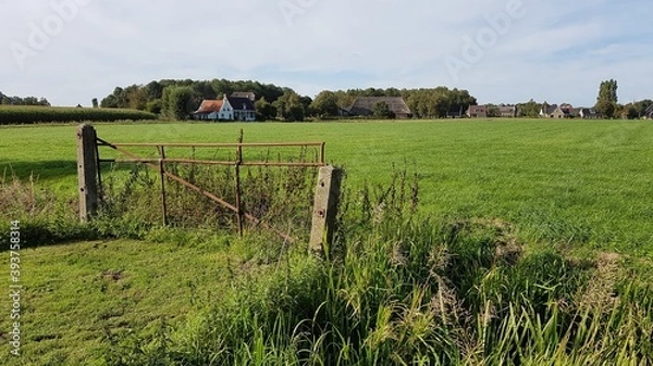 Fototapeta landscape with a fence in the field