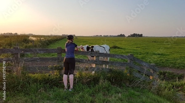Obraz couple walking in the field