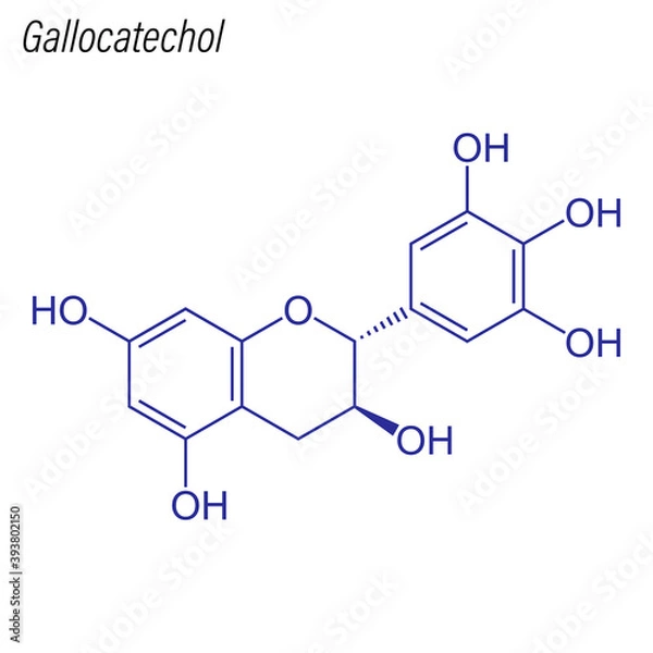 Obraz Vector Skeletal formula of Gallocatechol. Drug chemical molecule.