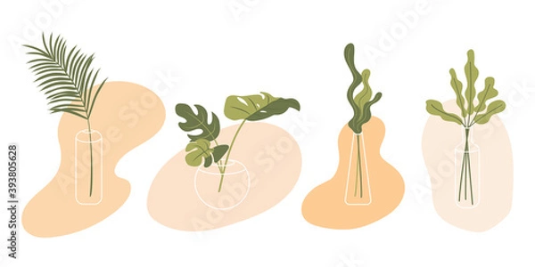 Fototapeta A set of plants for home decoration in transparent glass vases. Minimalistic cozy boho style. Flat vector illustration on isolated white background.