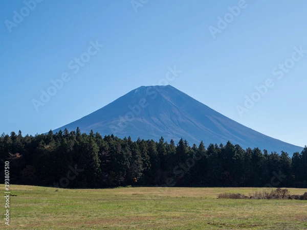 Fototapeta 春の富士山