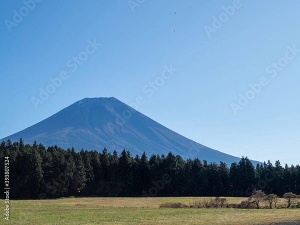 Fototapeta 春の富士山