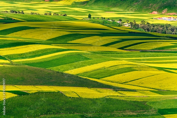 Obraz 中国青海海北祁连卓尔山