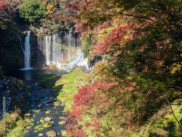 Fototapeta 白糸の滝