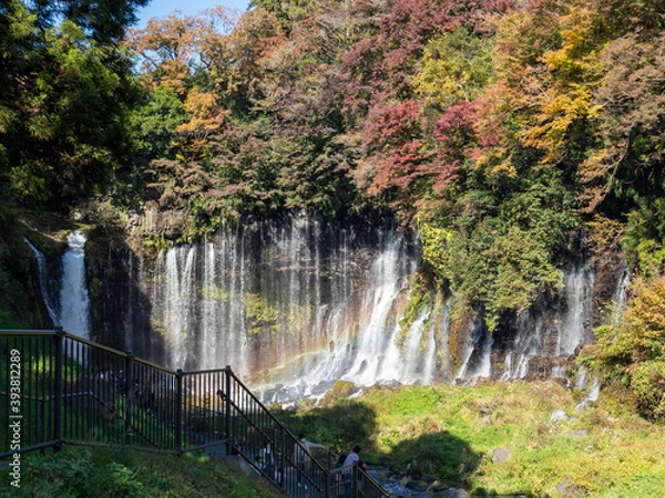 Fototapeta 白糸の滝