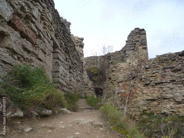 Obraz Koporye Citadel 2011