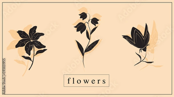Fototapeta Vector illustration of decorative flowers and plants in black. EPS 10