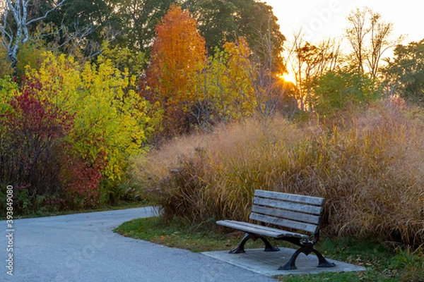 Obraz Fall Park Sunset