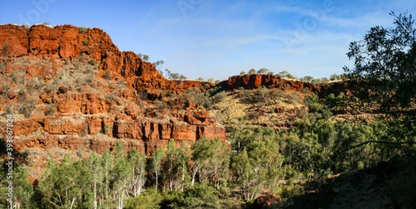 Fototapeta Hiking and swimming in Karijini National-Park, Western Australia with beautiful rock formations