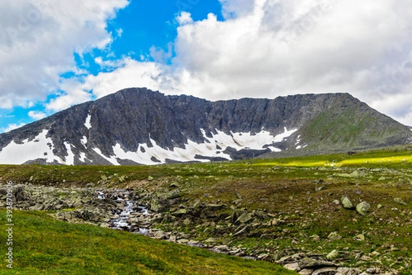 Fototapeta mountain range in the subpolar urals on a summer day