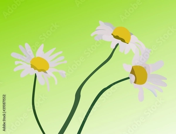 Obraz Vector of three flowers on green background