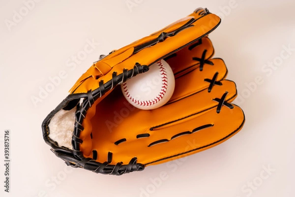 Obraz グローブとボール