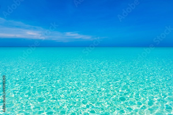 Obraz Crystal  Clear beach water