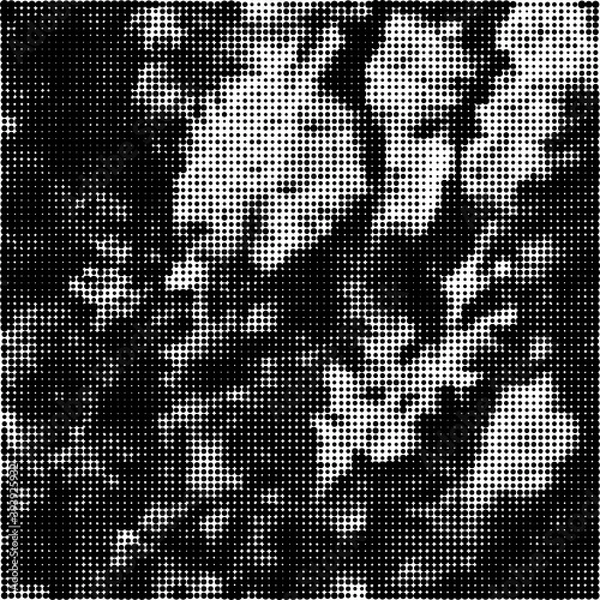 Obraz Halftone Pattern. Set of Dots. Dotted Texture on White Background. Overlay Grunge Template. Distress Linear Design. Fade Monochrome Points. Pop Art Backdrop.
