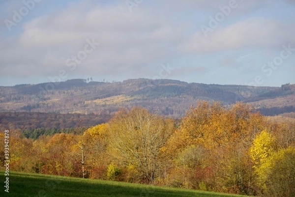 Fototapeta Herbstlicher Blick