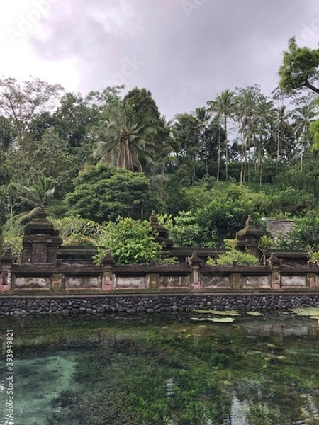 Obraz See im Dschungel