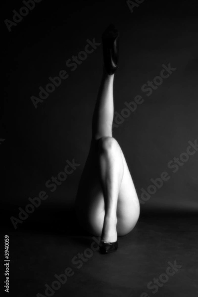 Obraz Nudité artistique