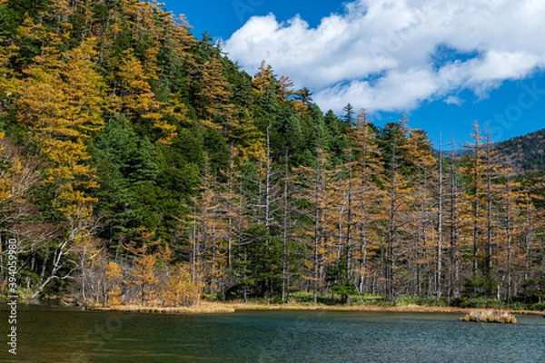 Obraz 晴天の上高地 黄葉の山々と明神池