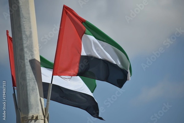 Obraz UAE flag waving in the sky, national symbol of UAE. UAE National Day. Celebration, freedom.