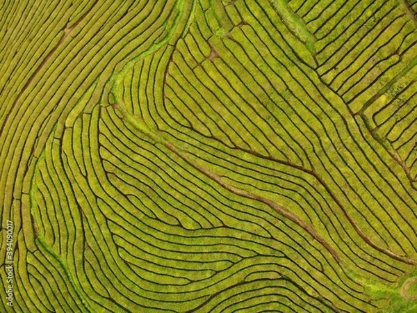 Obraz created by dji camera