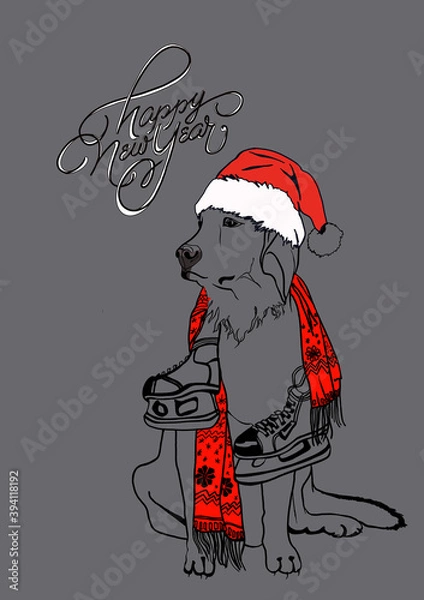 Obraz Merry Christmas and Happy New Year greeting card. Hunting dog with gifts. Lettering. Hunting dog with skates, 
in a scarf and a New Year's hat. Stylish illustration with new year greetings typography 