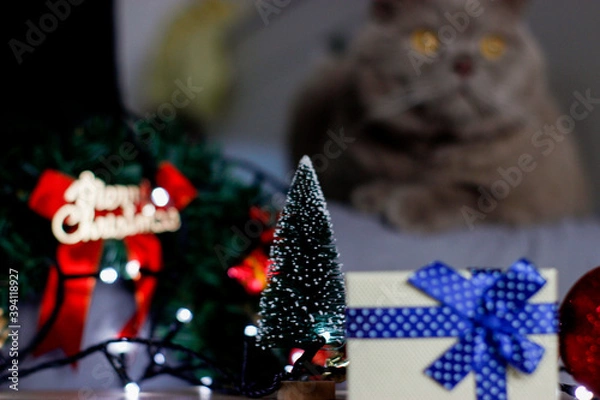 Obraz christmas tree decorations with cat