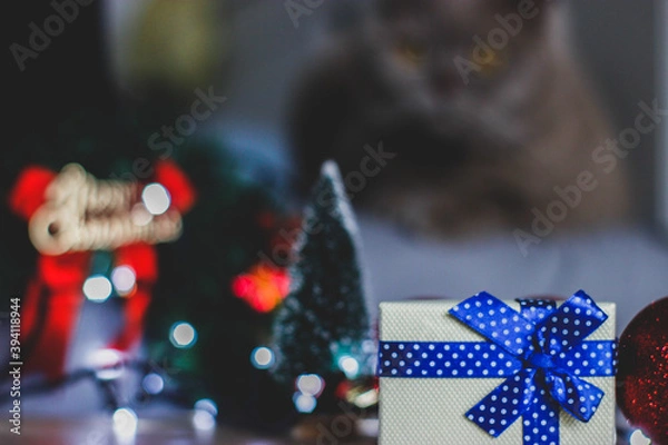 Obraz christmas tree decorations with cat