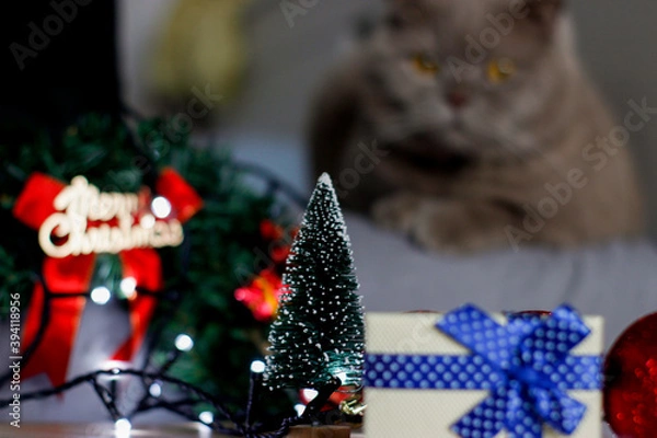 Obraz christmas tree decorations with cat