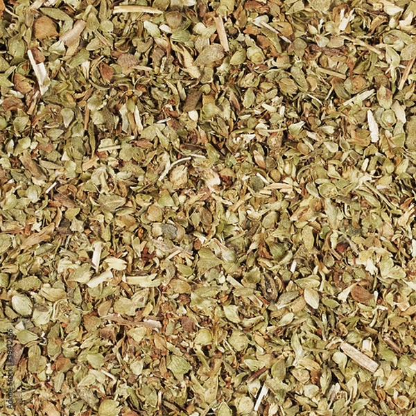 Obraz Oregano spice closeup