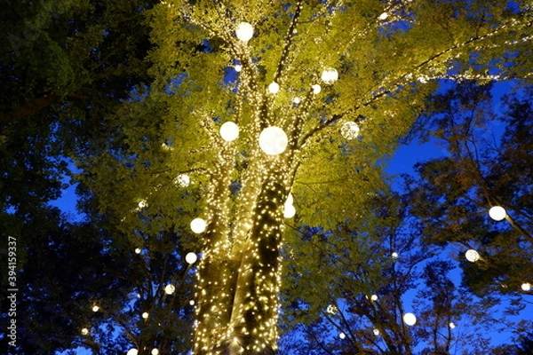 Obraz 国営武蔵丘陵森林公園のイルミネーション