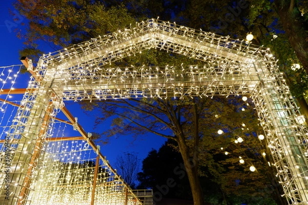 Obraz 国営武蔵丘陵森林公園のイルミネーション