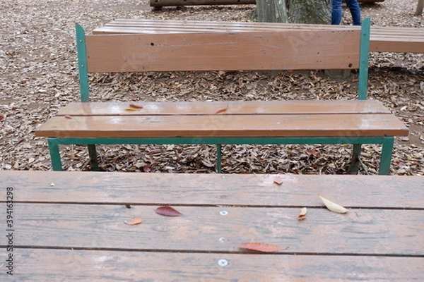 Obraz 清水公園のベンチと落ち葉