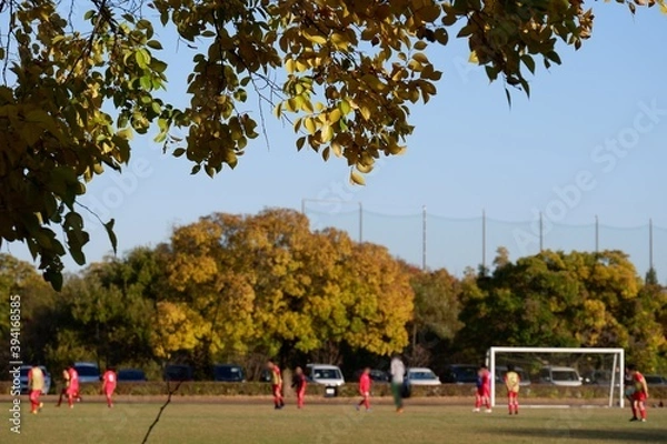 Obraz 川のある公園の紅葉