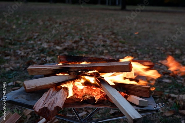Obraz 焚き火　薪と炎
