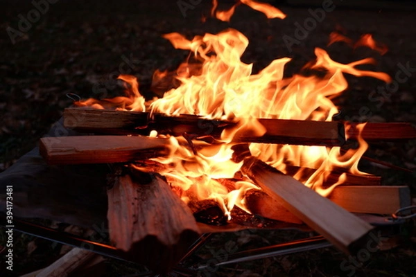 Obraz 焚き火　薪と炎