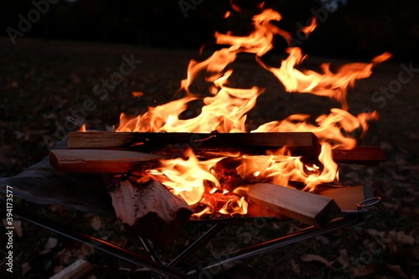 Obraz 焚き火　薪と炎
