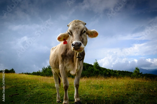 Obraz Current mooooood