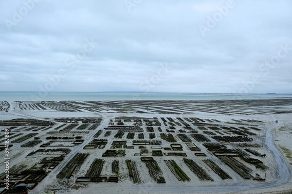 Fototapeta Parc à huitre Cancale