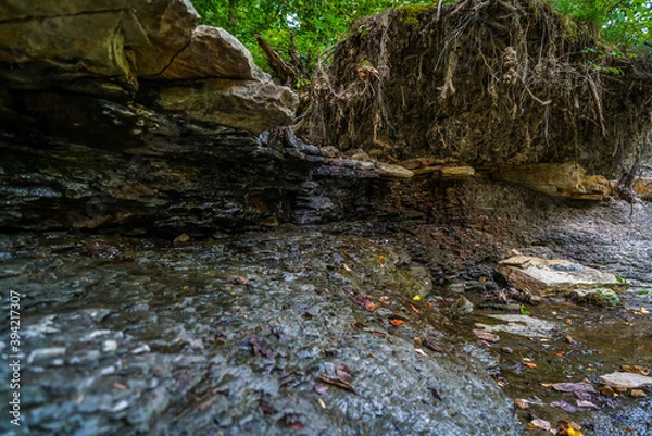 Fototapeta This is Hell Hollow Wilderness Area in the isolated forests of Lake County Ohio.