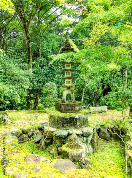 Fototapeta 京都、槙尾山西明寺