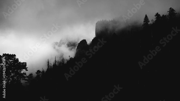 Fototapeta Tajemnicza sylwetka gór i drzew, Tatry, Polska