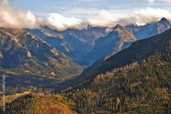 Fototapeta Letni widok na górską dolinę, Tatry, Polska