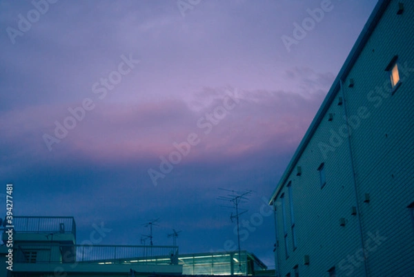 Fototapeta 多摩川景色